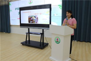 千里鶯啼綠映紅 風(fēng)華正茂展教學(xué)——記廬陽區(qū)2019年暑期園本培訓(xùn)‘無生上課’展示活動(dòng)